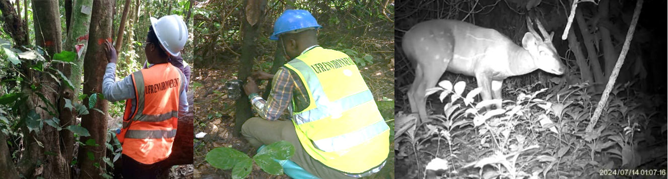 Inventaires écologiques et suivi faune/flore dans les aires protégées et milieux naturels